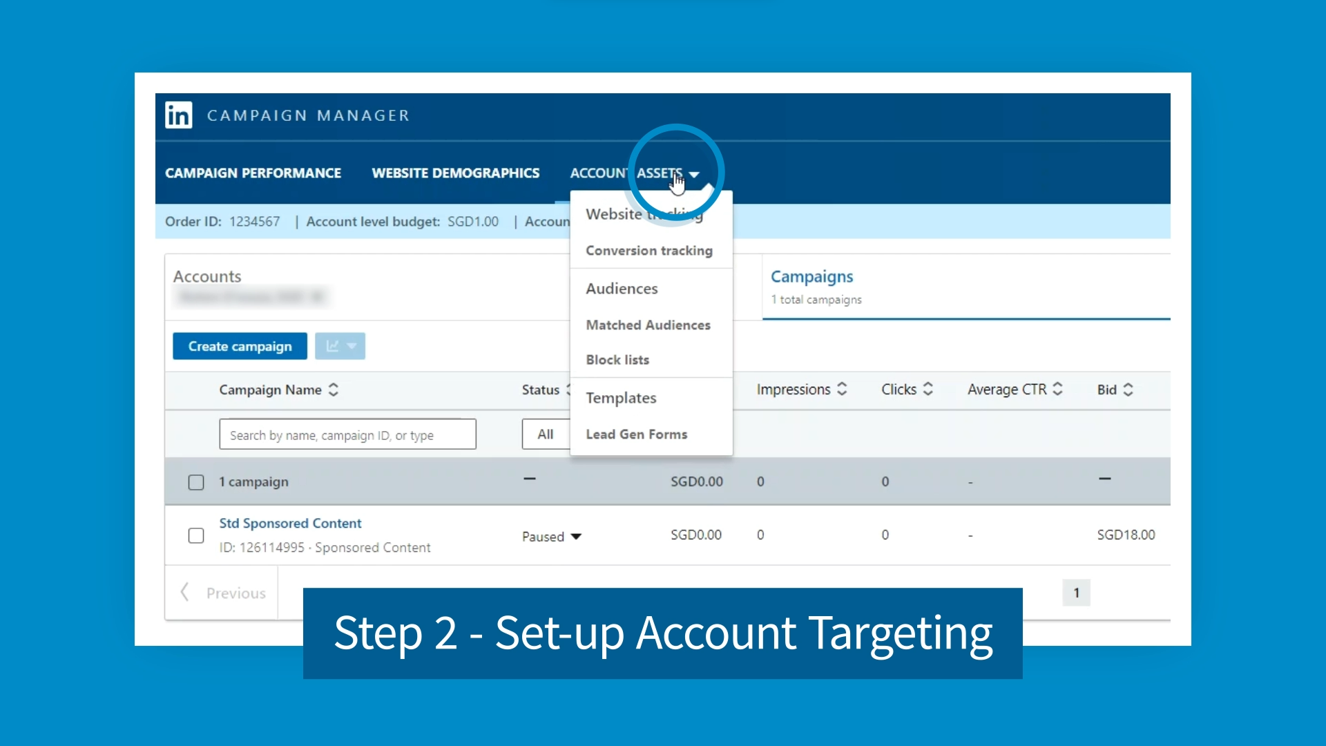 LinkedIn Account Targeting Demo Video